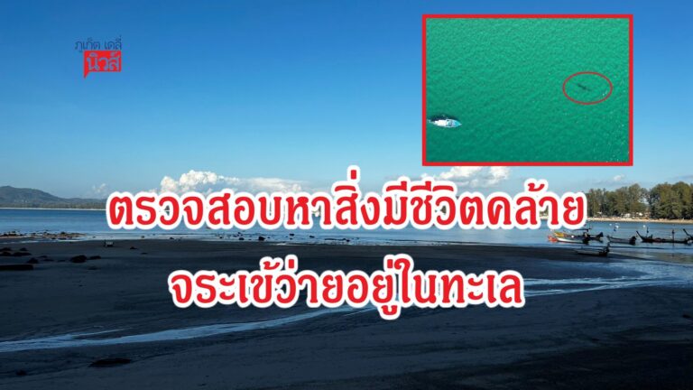 ตรวจสอบหาสิ่งมีชีวิตคล้ายจระเข้ว่ายอยู่ในทะเล