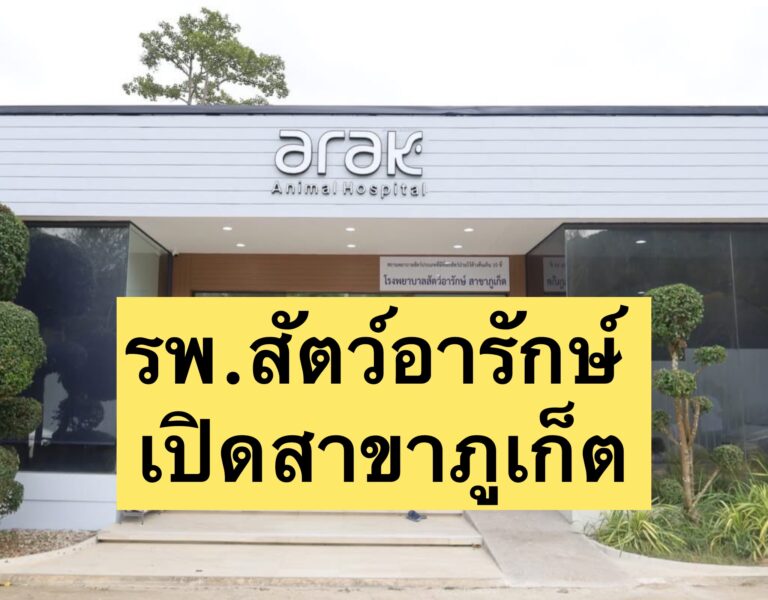 รพ.สัตว์อารักษ์ เปิดสาขาภูเก็ต