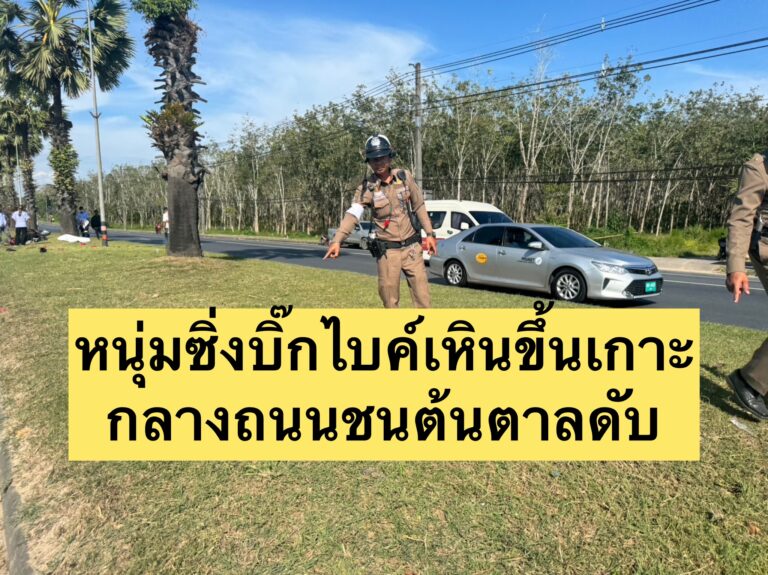 หนุ่มซิ่งบิ๊กไบค์เหินขึ้นเกาะกลางถนนชนต้นตาลดับ