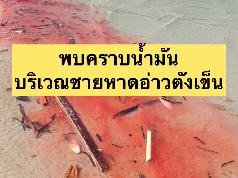 พบคราบน้ำมันบริเวณชายหาดอ่าวตังเข็น